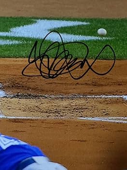 Amazon.co.jp: イチロー 金字塔 4000本安打 直筆サインフォト 4000本